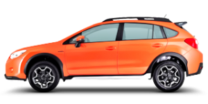 XV