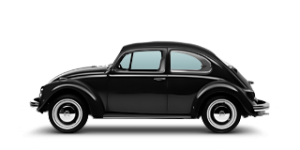 Beetle