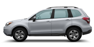 Forester 4