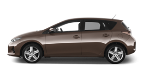 Auris