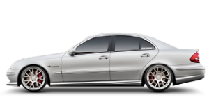 W219