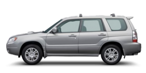 Forester 1