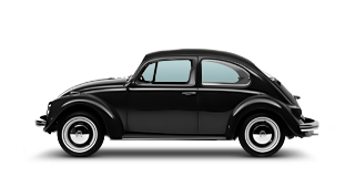 Beetle