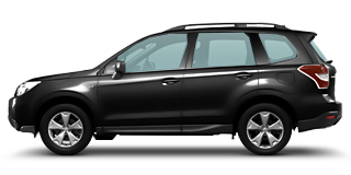 Forester 3