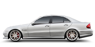 W219